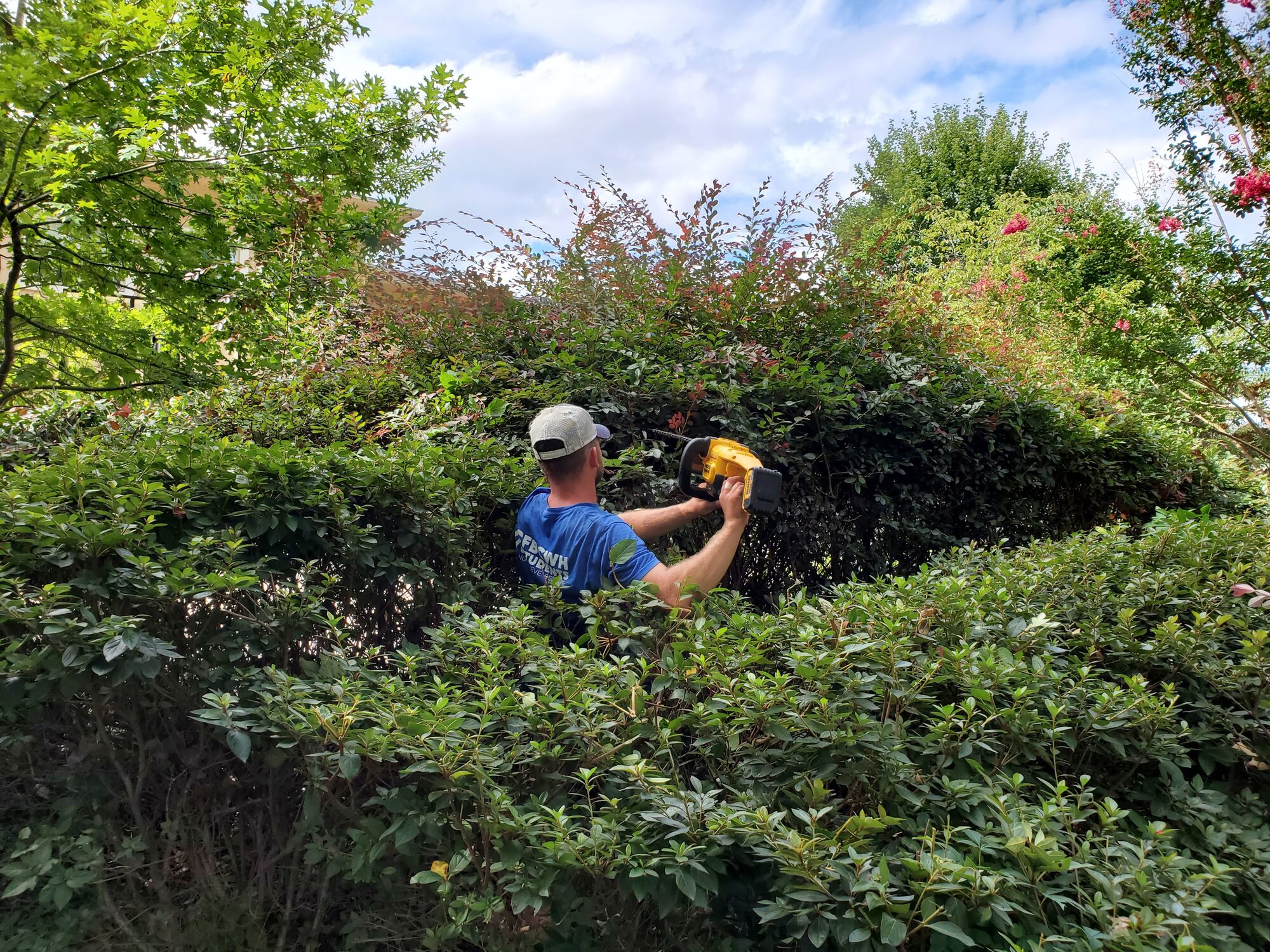 Owner-operator trimming hedges at a central Arkansas property