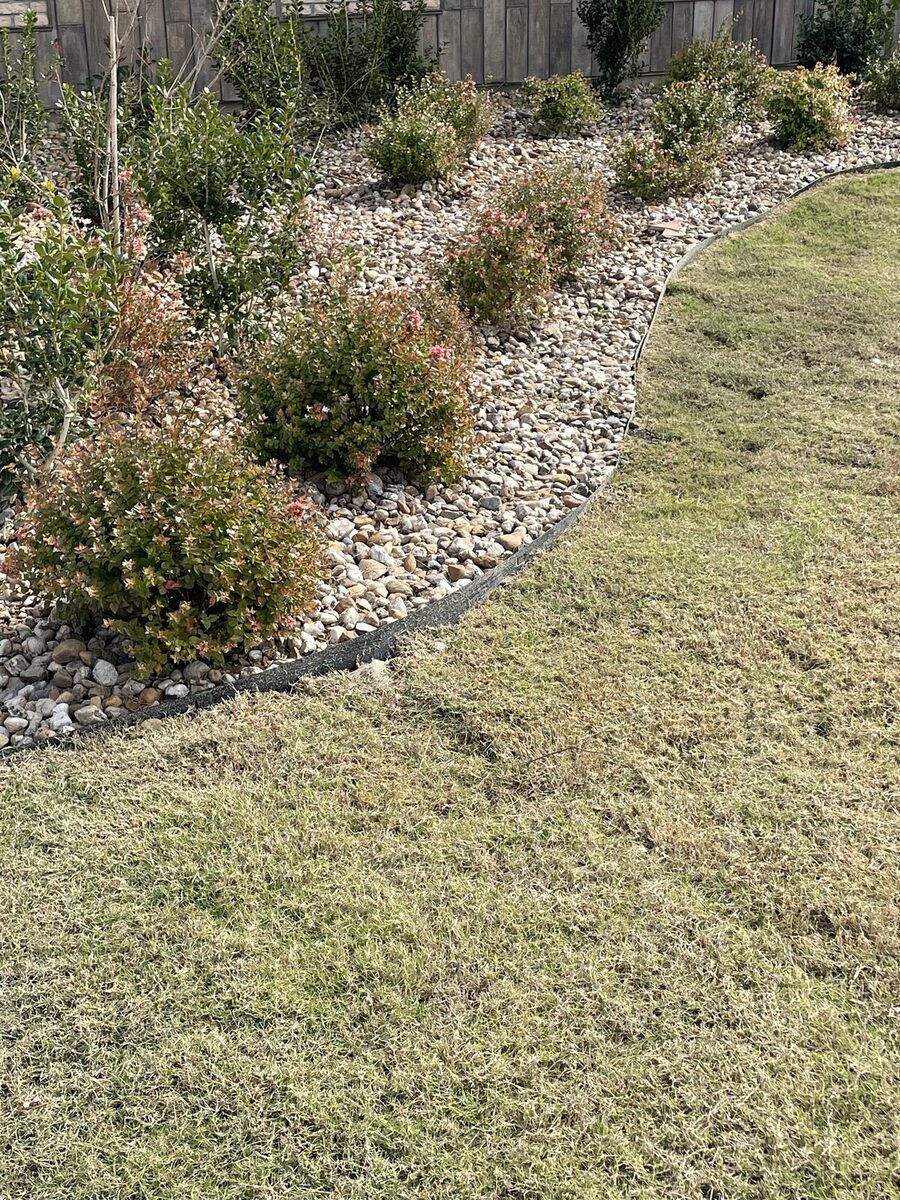 Curving river rock bed with mixed evergreen shrubs and steel edging