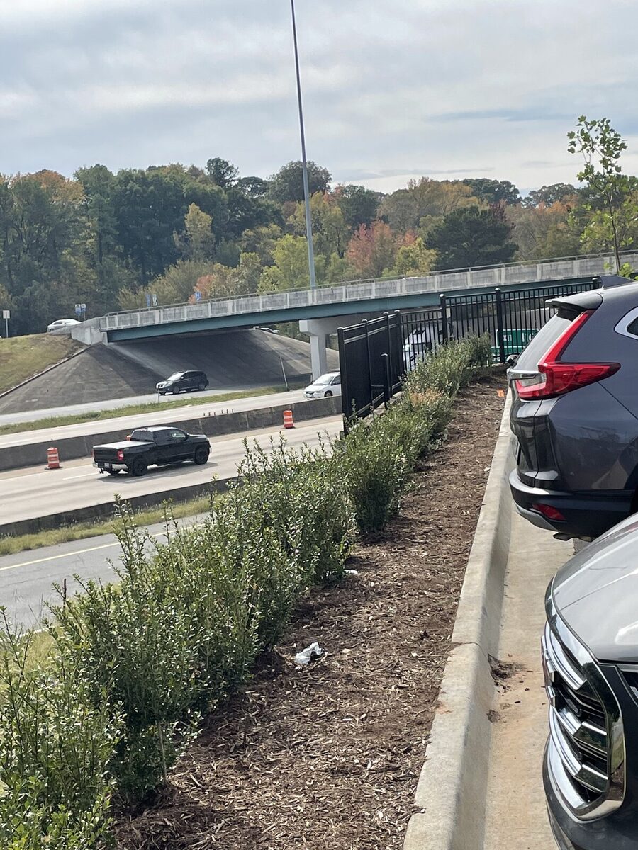 Long perimeter bed along the highway with newly planted shrubs and ornamental trees